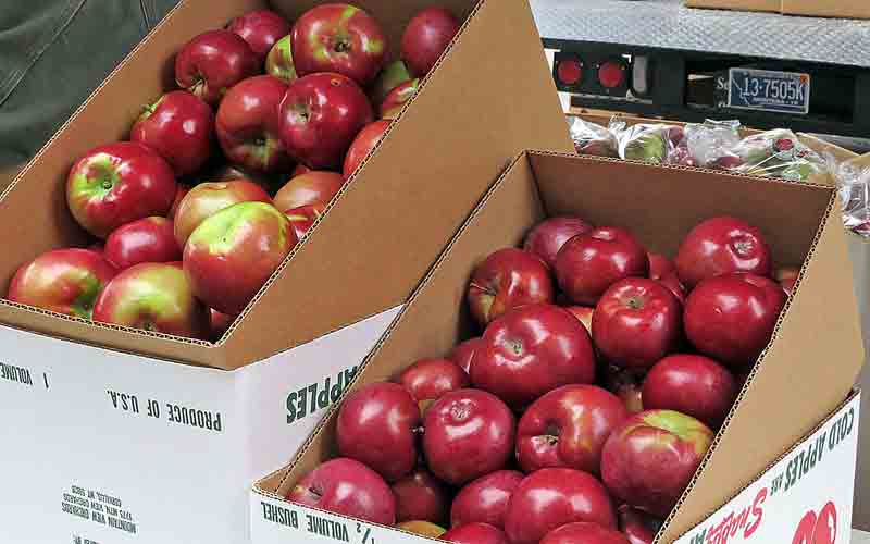 सेब कार्टन बॉक्स पर जीएसटी 12 फीसदी करने की सिफारिश