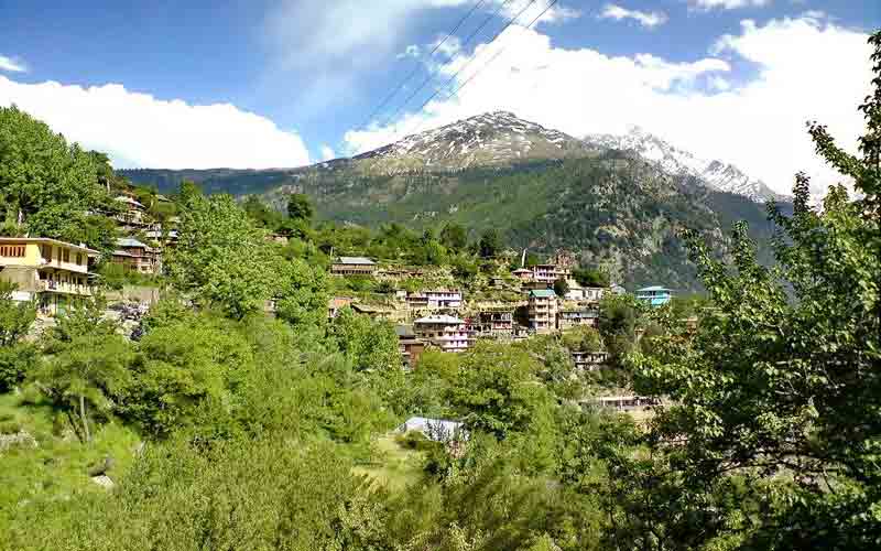 पांगी घाटी को प्राकृतिक खेती उपमंडल घोषित करने की प्रक्रिया शुरू, जौ खरीद को मिलेगा समर्थन मूल्य