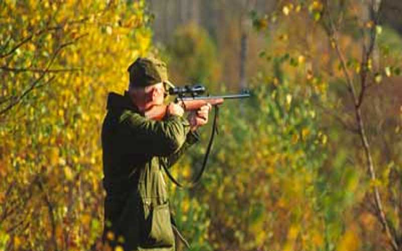 शिकारी ने मुर्गे पर चलाई गोली, बाइक सवार युवक को जा लगी, आरोपी गिरफ्तार