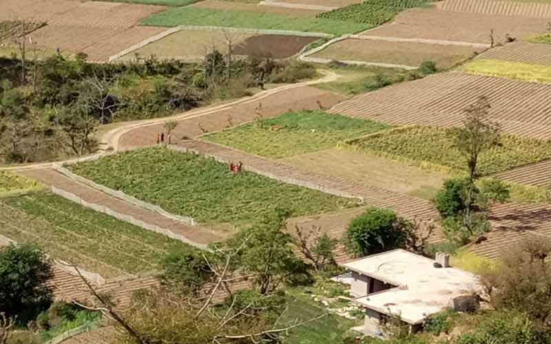 शिमला में वक्फ बोर्ड की 70 बीघा जमीन