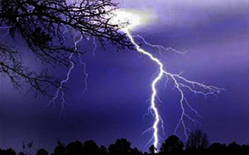 आसमानी बिजली गिरने से मवेशियों के लिए चारा लाने गई मां-बेटी झुलसी