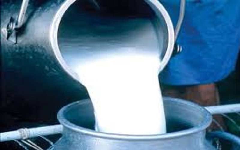 प्रदेश सरकार के प्रयासों से हिमाचल में दूध की खरीद में उल्लेखनीय वृद्धि