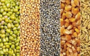 Distribution of seeds of Kharif crops will start in the district from April