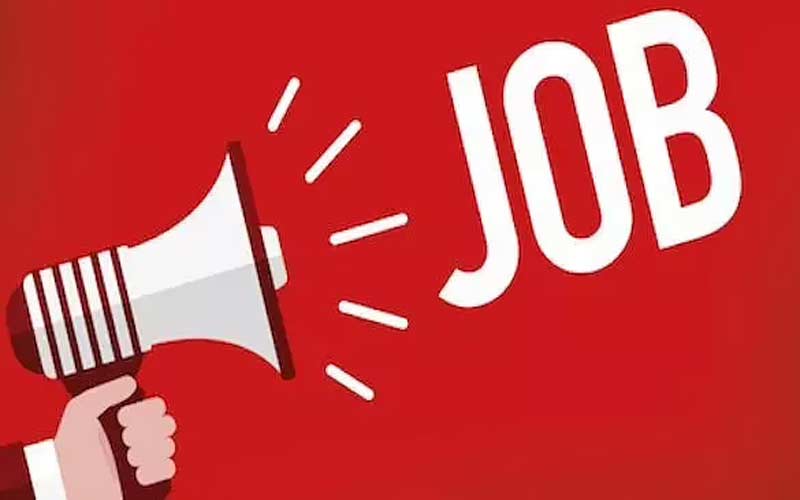 Employment-Opportunities-in.jpg