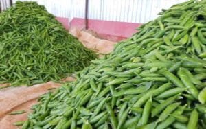 9078-quintal-green-peas-rea.jpg