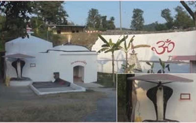 Crowd of devotees gathered in Nag Devta temple