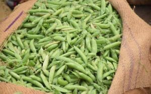 Pea-prices-increased-by-Rs.jpg