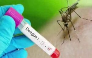 Take special care of personal hygiene to prevent water borne diseases