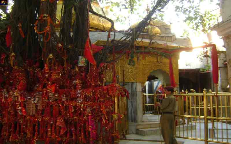 Maa Chintpurni's garden will be built at a cost of Rs 1.38 crore - Raghav Sharma