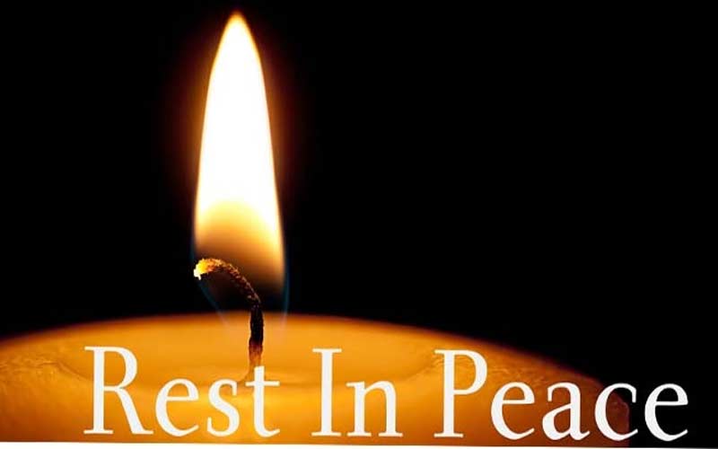 सड़क से लुढ़क कर खाई में गिरी टैक्सी, चालक की दर्दनाक मौत