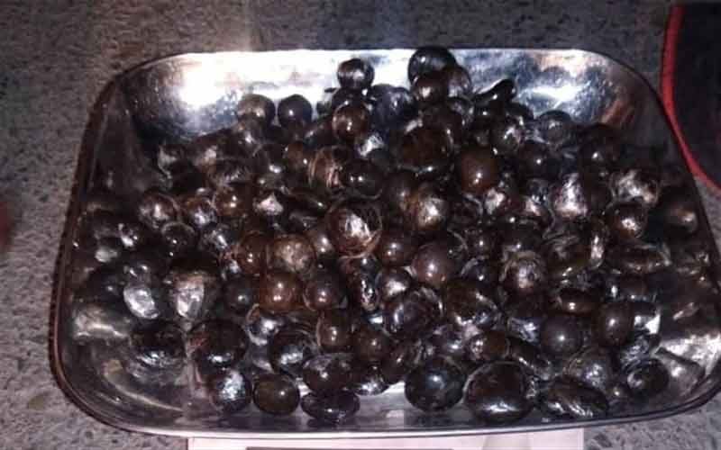 नशा तस्करों के खिलाफ पुलिस की कार्यवाही, 710 ग्राम चरस सहित व्यक्ति दबोचा