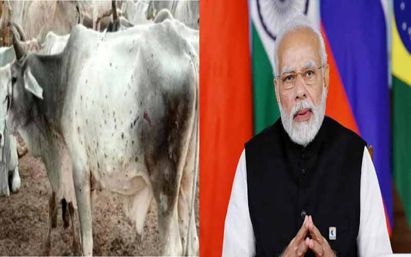 Lumpy disease will now be eradicated, scientists have made indigenous vaccine, PM Modi gave information