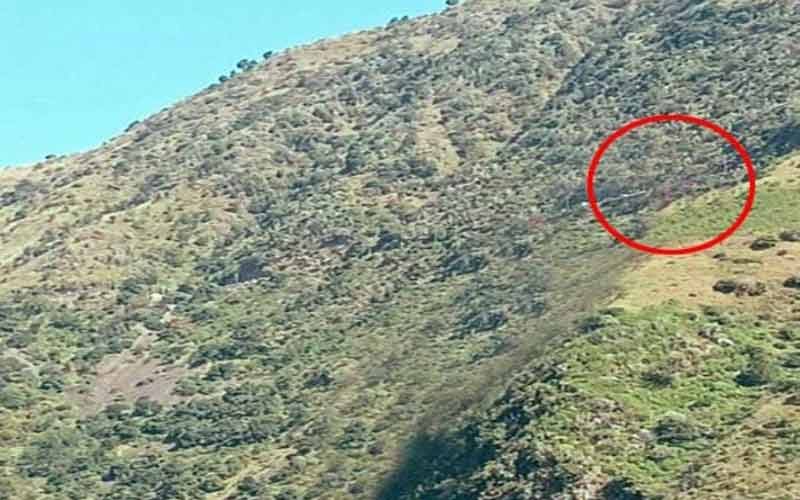 दर्दनाक- गाड़ी के दुर्घटनाग्रस्त होने से व्यक्ति की मौत, इसी स्थान पर भाई भी गंवा चुका है जान…