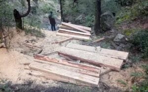 11-sleepers-of-cedar-recove.jpg