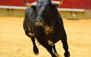 Bull attacked woman returning home from duty, badly injured