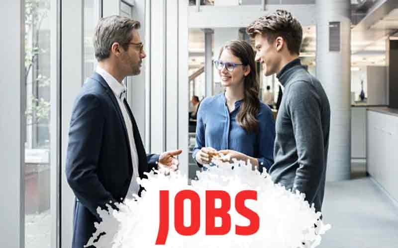 नौकरी की तलाश कर रहे युवाओं के लिए गुड न्यूज, भरें जाएंगे 893 पद
