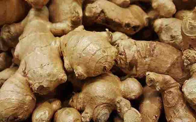 The face of the farmers who are suffering from the recession, the brightness returned, there was a jump in the prices of ginger.