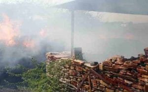 The fodder collected for the whole year was burnt to ashes in a few minutes, around 300…