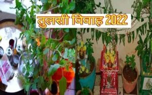 Tulsi Vivah 2022: When is Tulsi Vivah? Know Puja Muhurta, Auspicious Yoga and Significance