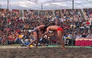 Wrestlers-tried-their-best-