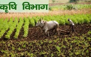 Agriculture-Department's-DB