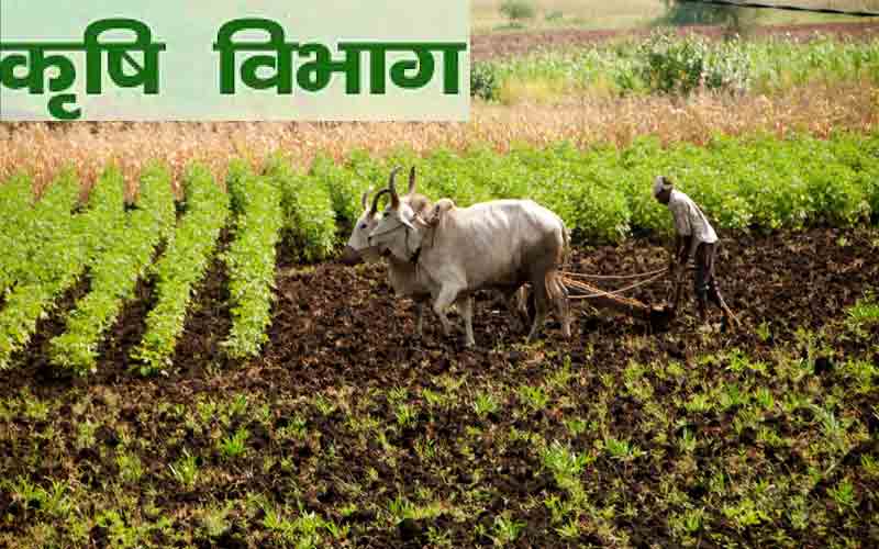कृषि विभाग का डीबीटी पोर्टल कल से होगा शुरू, पहले आओ पहले पाओ के…