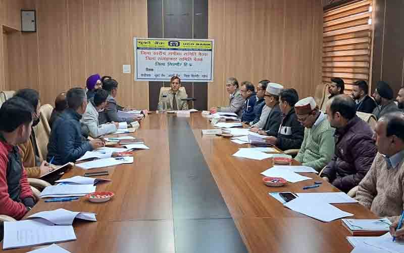 All banks should simplify the loan distribution of government sponsored schemes - Deputy Commissioner