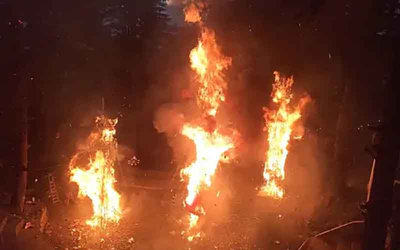 हिमाचल में भीषण अग्निकांड: गौशाला और घर जलकर राख