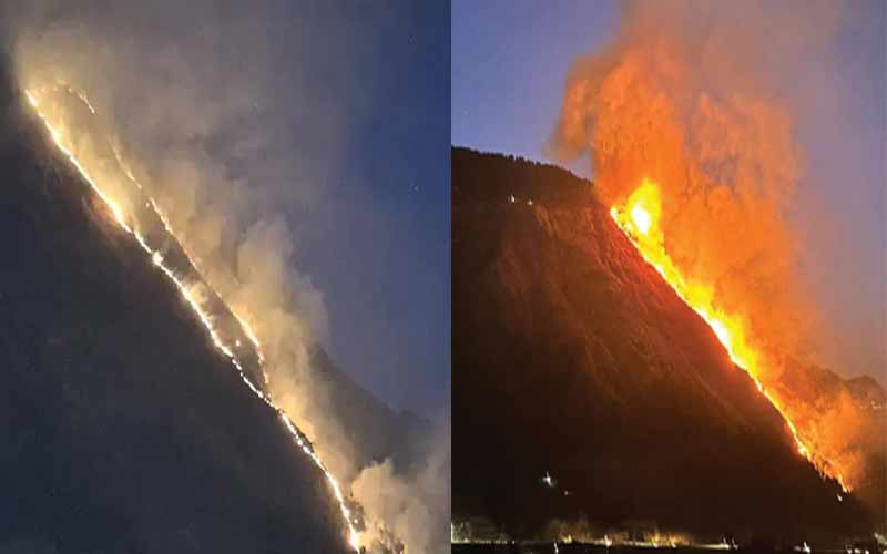 बिजली महादेव की पहाड़ी में भड़की आग, वन संपदा को नुक्सान
