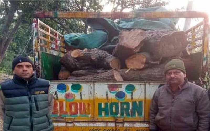 Forest Department caught a jeep full of Khair wood in Bhangani, recovered 45 pieces from the spot