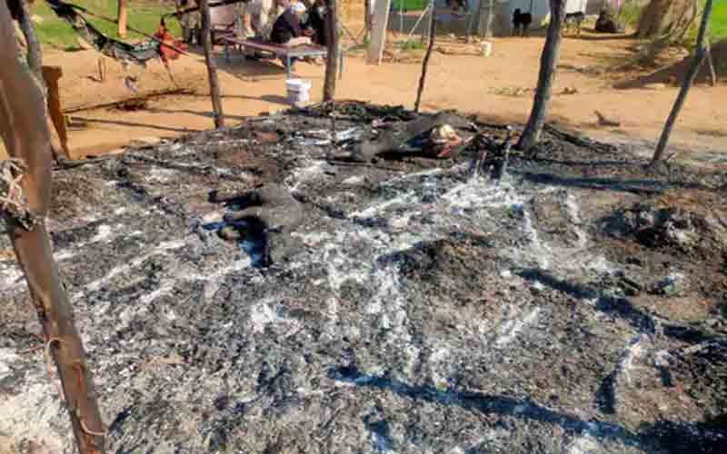 आग की भेंट चढ़ी गौशाला, दो मवेशियों की चपेट में आने से मौत