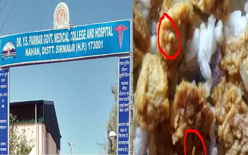 मरीजों के खाने में मिले कीड़े मामले में कॉलेज प्रबंधन एक्शन मोड में, जांच कमेटी गठित…