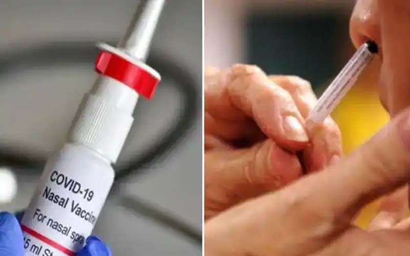 Coronavirus/ केंद्र सरकार ने कोरोना की नेजल वैक्सीन को दी मंजूरी, नाक से….
