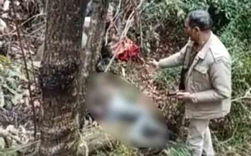 पैर फिसलने से ढांक में गिरा व्यक्ति, दर्दनाक मौत