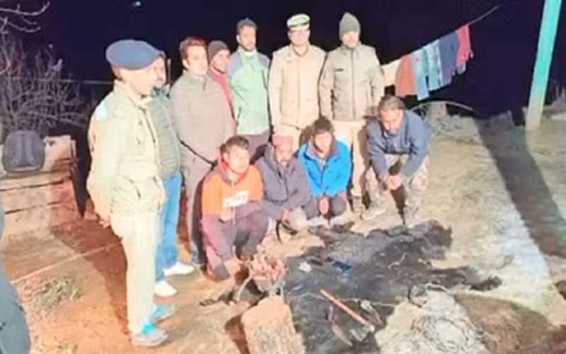 Bear hunted by making a rope noose, accused arrested