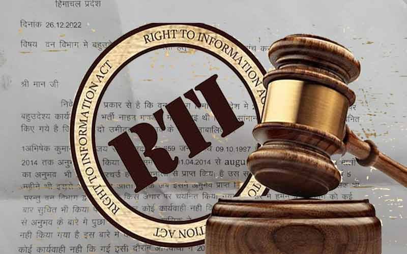 वन विभाग का कारनामा, नाबालिग को दे दी मल्टी पर्पस वर्कर की नौकरी