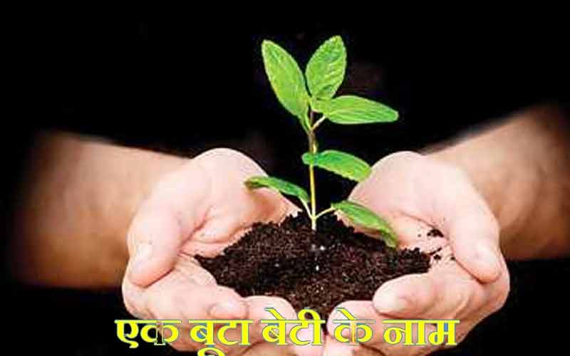 कल से अभिभावकों के घर-आंगन में बेटी के नाम से रोपित होगा एक पौधा- राकेश