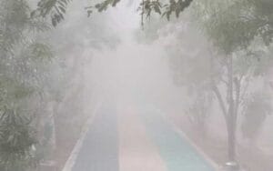 Morning-and-evening-mist-al.jpg