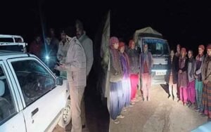 Smuggling of timber exposed, so many cedar sleepers caught along with the cart