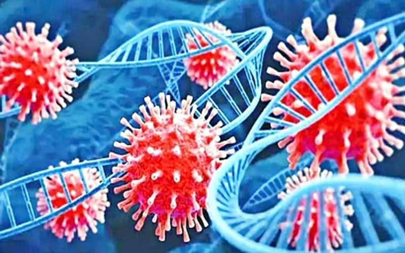 हिमाचल के इस जिला में कोरोना का एक भी मामला नहीं