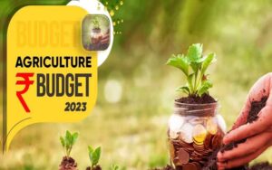 Big announcements in the budget: Priority to agricultural startups, coarse grains...