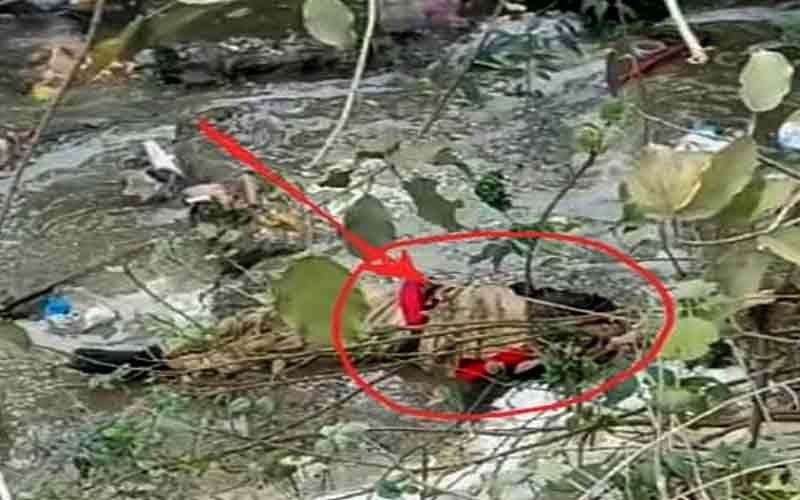 नाहन शिमला रोड सराय के नाले के पास मिला शव