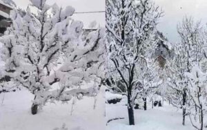 Himachal Weather: Weather changed in Himachal, snowfall on high peaks