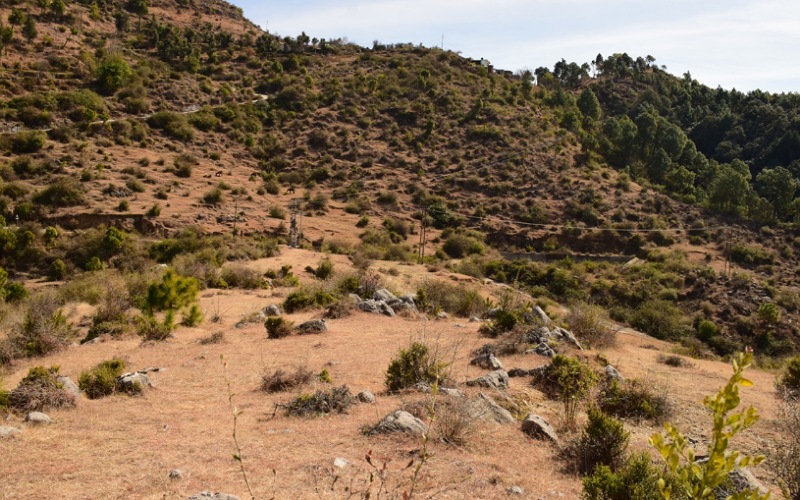 प्रदेश सरकार ने राजीव गांधी डे बोर्डिंग स्कूल स्थापित करने के लिए चयनित की भूमि