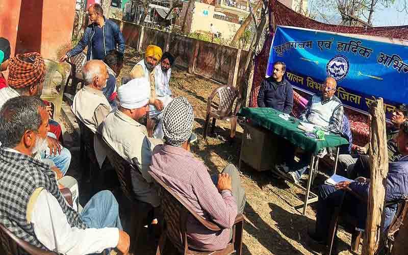 पशु औषधालय लेही में एक दिवसीय बांझपन शिविर आयोजित, 45 पशुओं…