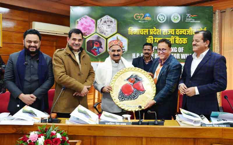 प्रदेश सरकार पर्यावरण संरक्षण और विकास में संतुलन बनाए रखने के लिए प्रतिबद्ध- सीएम सुक्खू