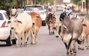 There-will-be-challan-for-l.jpg