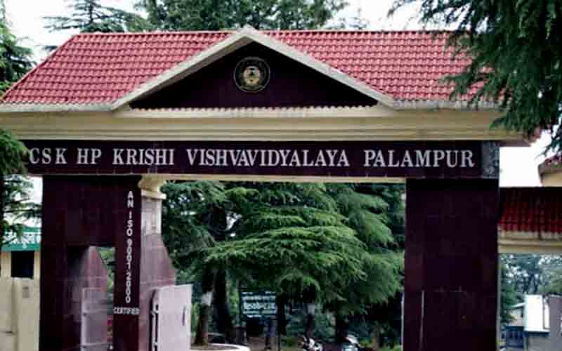 फ्रांस, अमेरिका, जापान व फिलीपींस जाएगें 8 स्नातकोत्तर विद्यार्थी