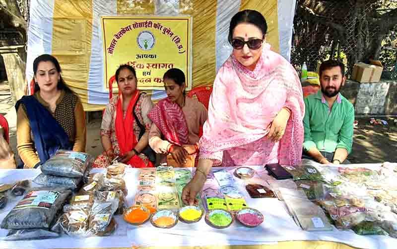 नाहन में लगी दो दिवसीय घरेलू ऑर्गेनिक उत्पादों की प्रदर्शनी