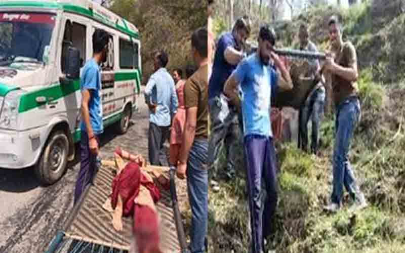 जंगल में पशुओं के लिए चारा काटते समय पेड़ से गिरी महिला, घायल